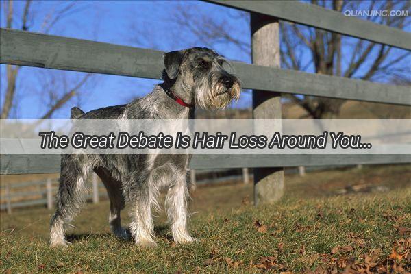 The Great Debate Is Hair Loss Around Your Poochs Collar PostVaccination Normal Find Out Now